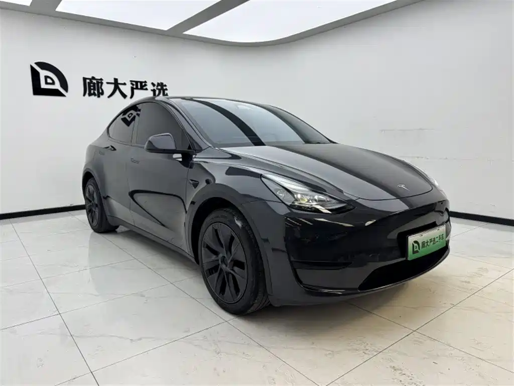Tesla Model Y — миниатюра 3