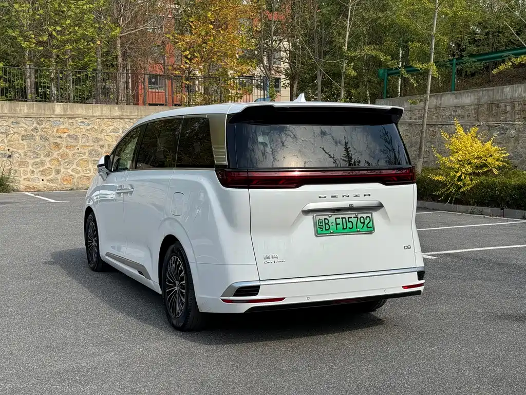 Denza Denza D9 — миниатюра 8