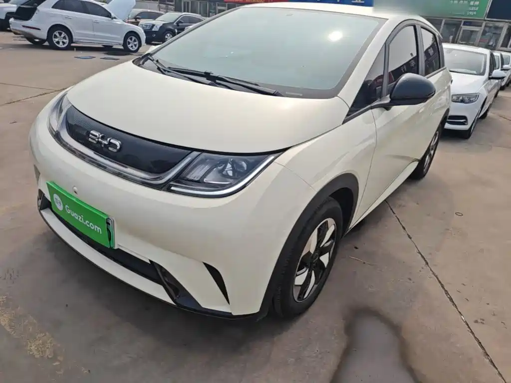 BYD Dolphin