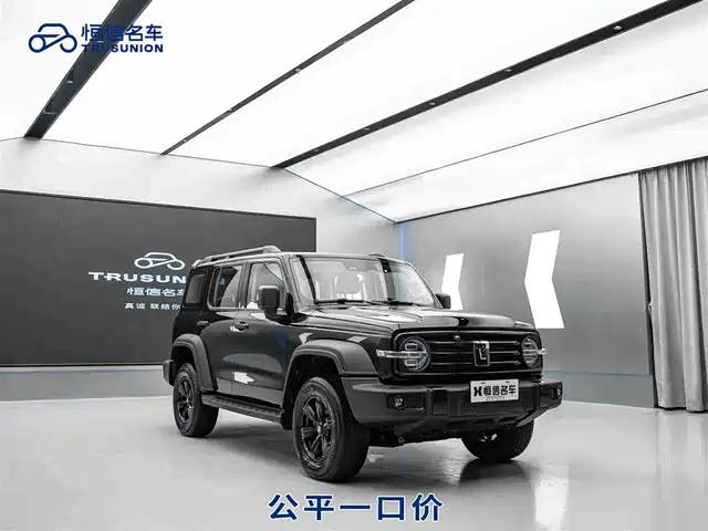 2024 TANK 300