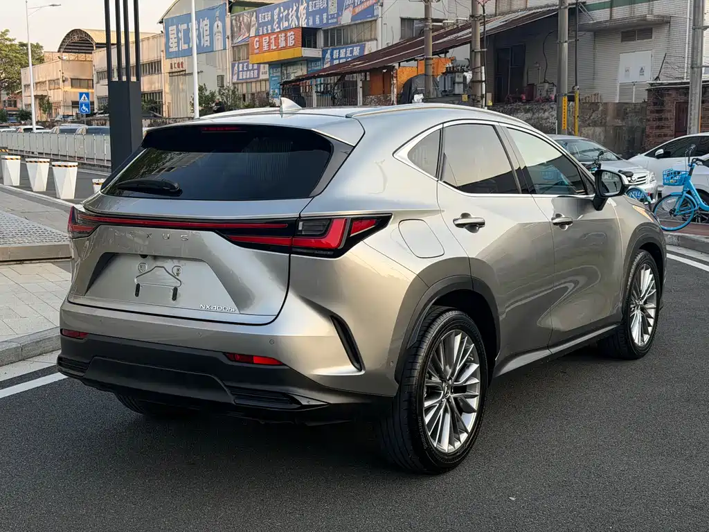 LEXUS NX NEW ENERGY