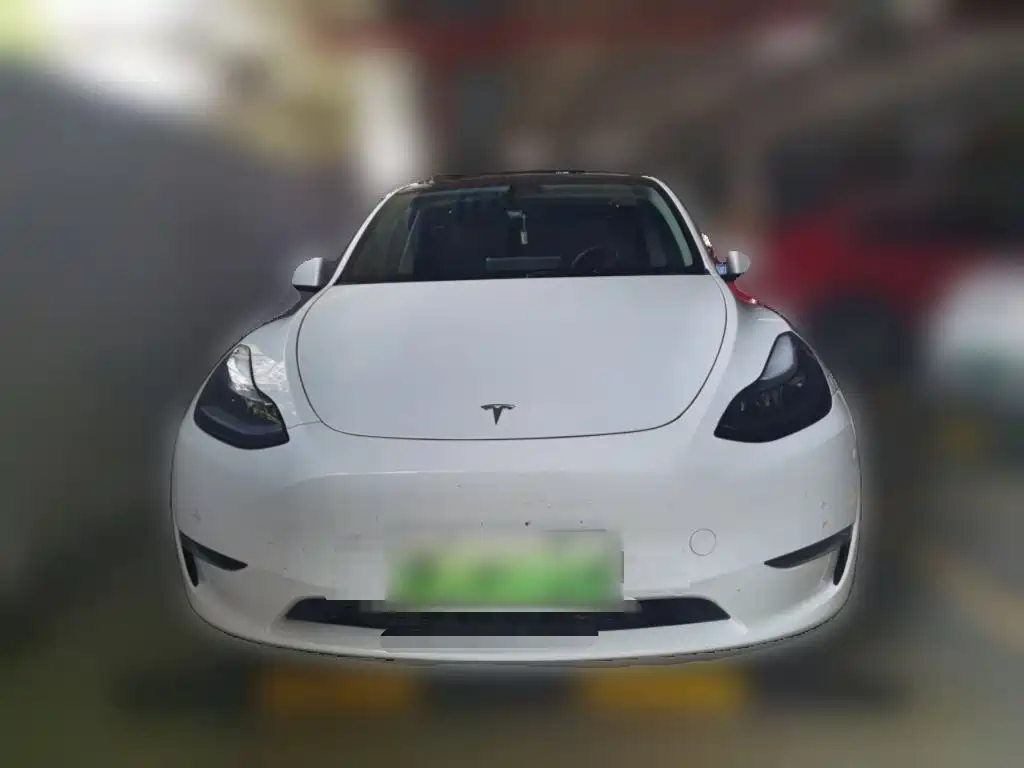 Tesla Model Y — миниатюра 23