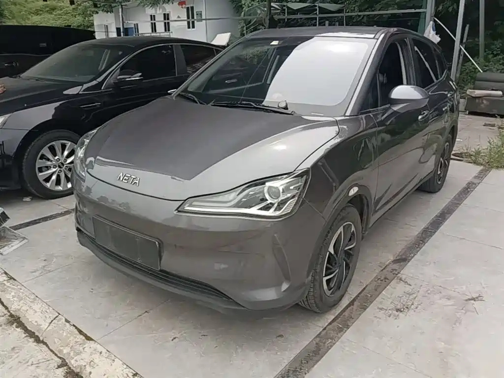 Neta Neta V 2021