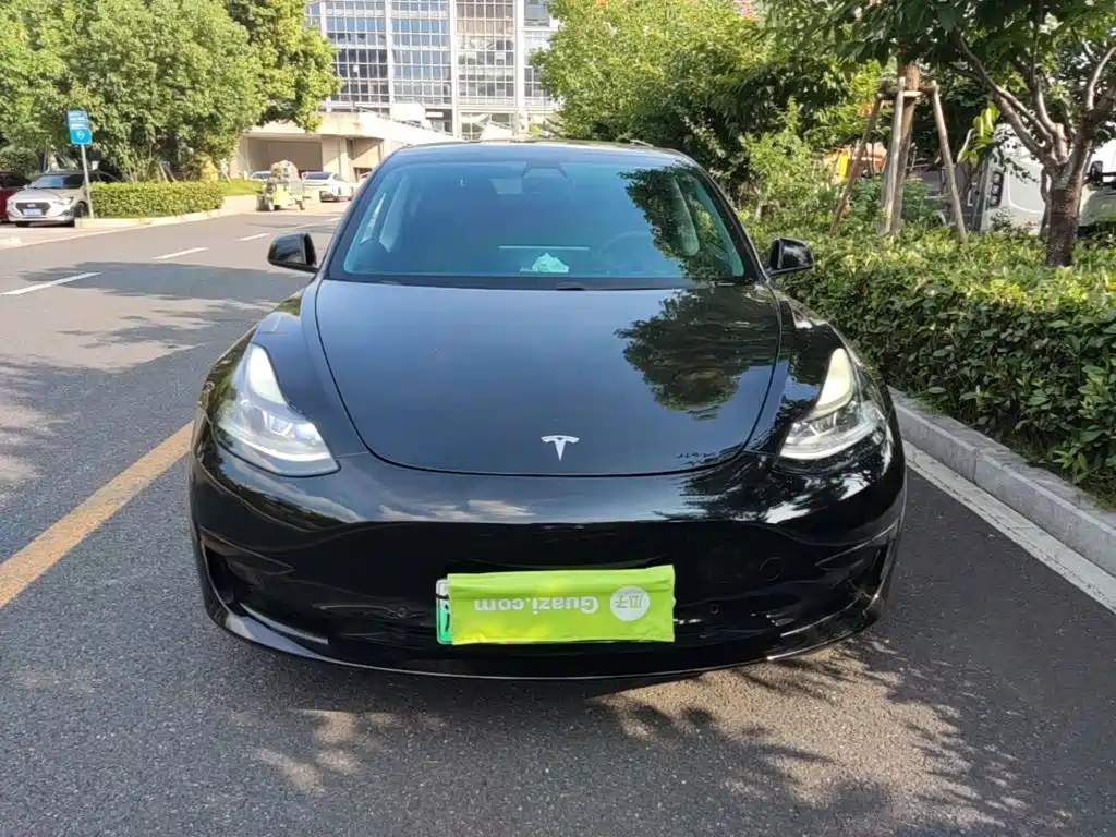 Tesla Model 3 — миниатюра 3