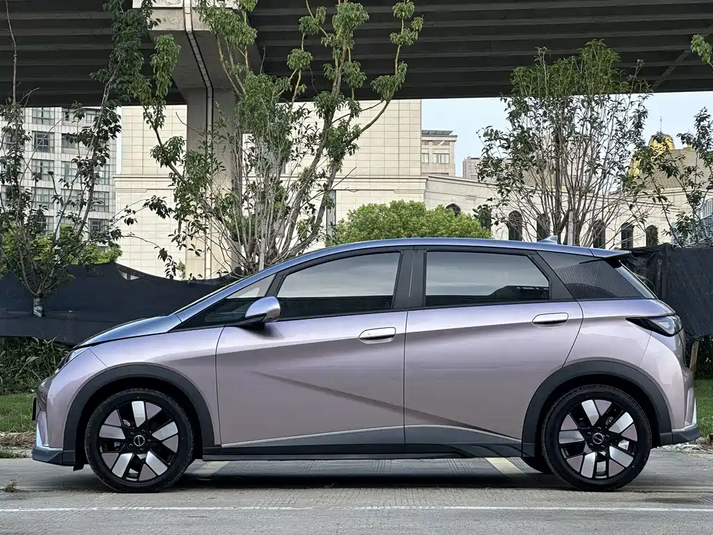 BYD Dolphin — миниатюра 10