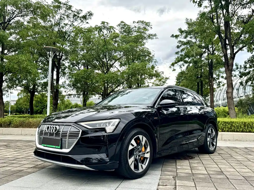 Audi E-tron (Import)