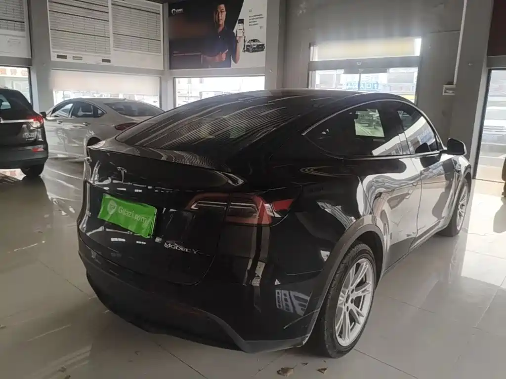 Tesla Model Y — миниатюра 7