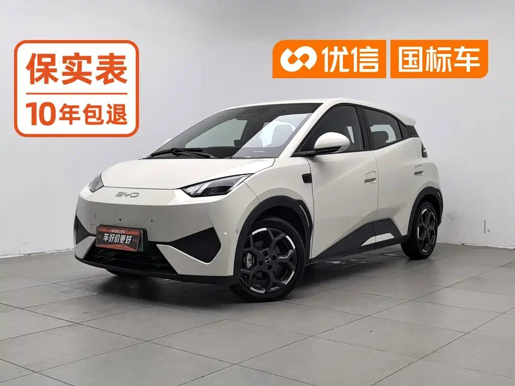 BYD Seagull