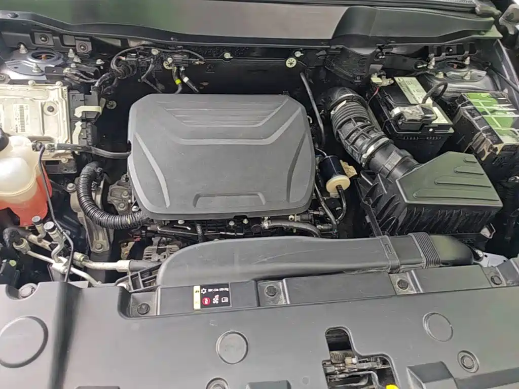 Haval Big Dog — миниатюра 20