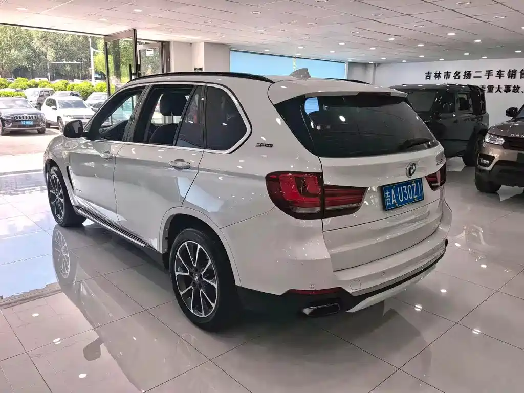 BMW X5 New Energy (Import) — миниатюра 7