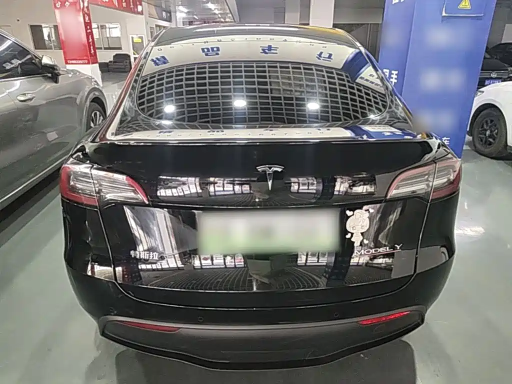Tesla Model Y — миниатюра 6