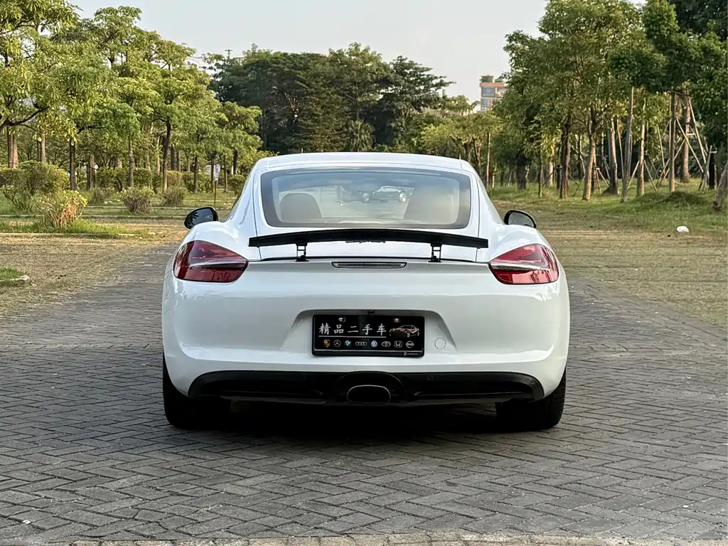 Porsche Cayman — миниатюра 12