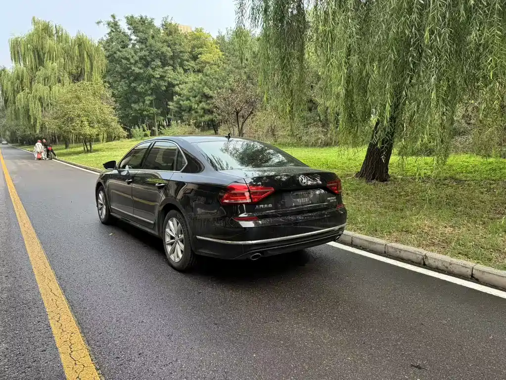 Volkswagen Passat — миниатюра 6