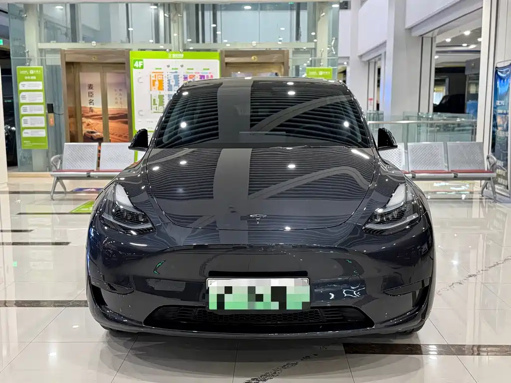 Tesla Model Y — миниатюра 2