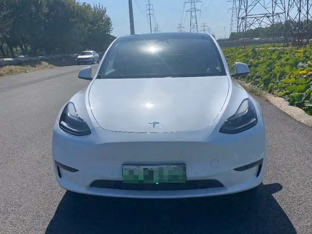 Tesla Model Y — миниатюра 2