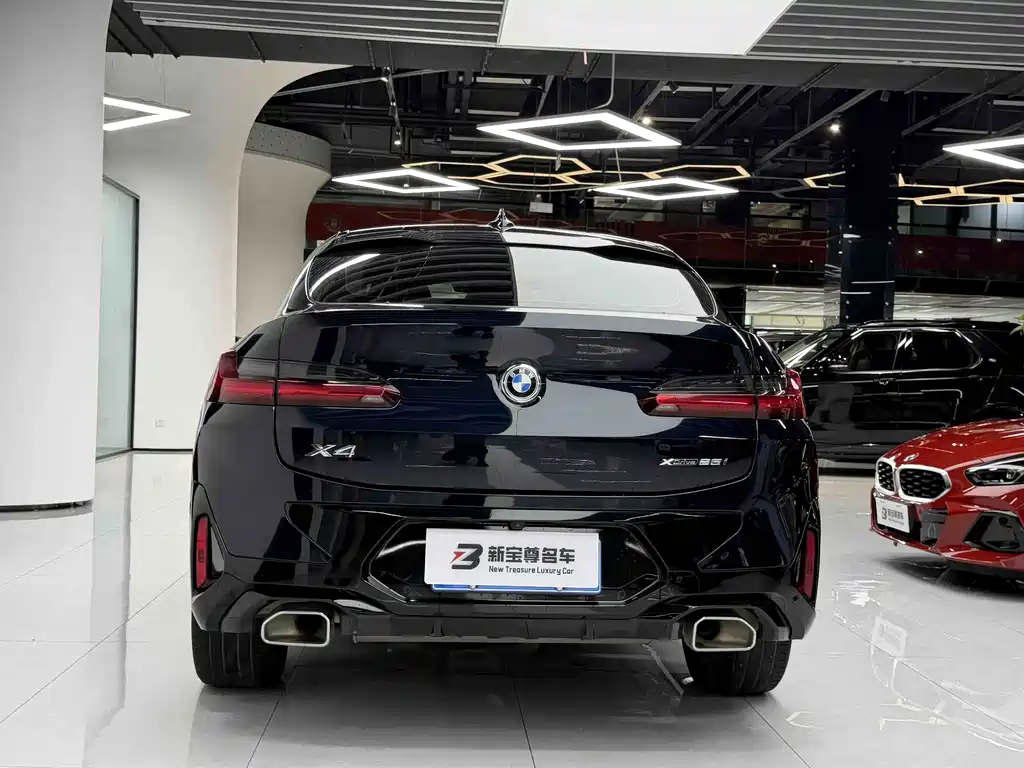 BMW X4 — миниатюра 12