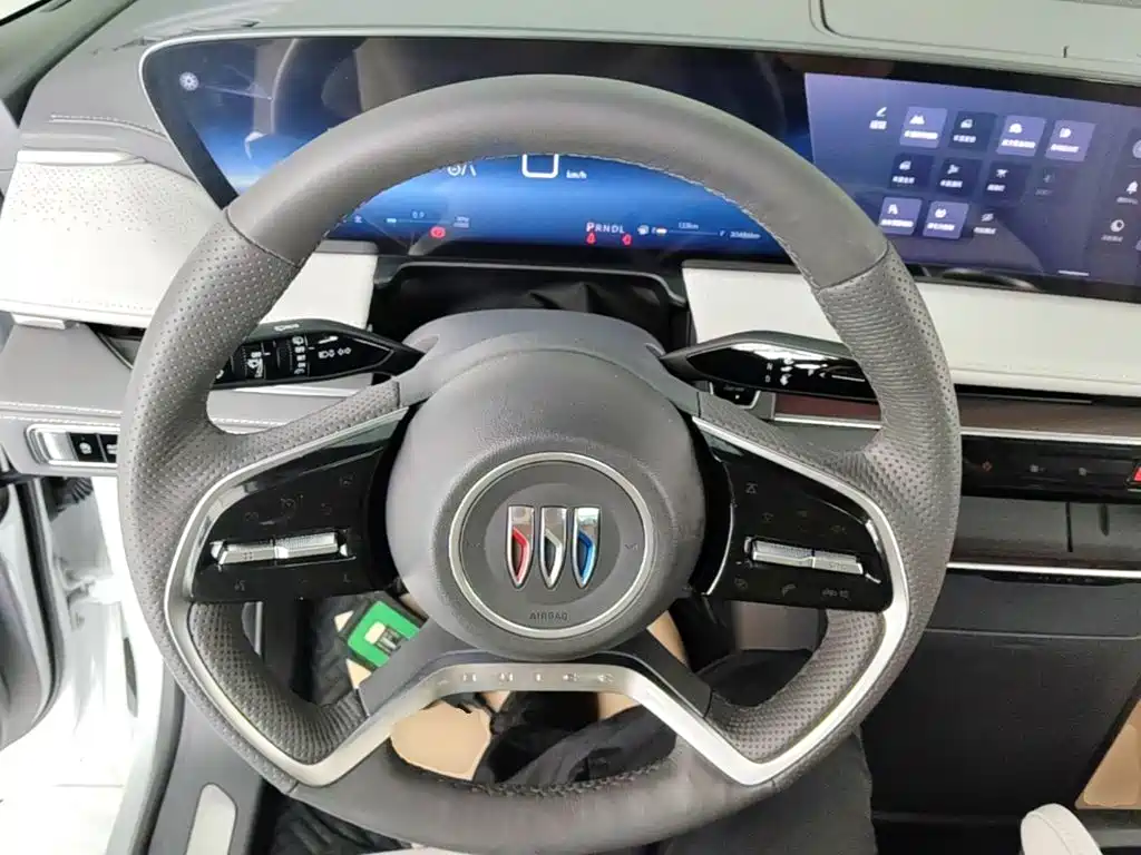 Buick GL8 — миниатюра 11