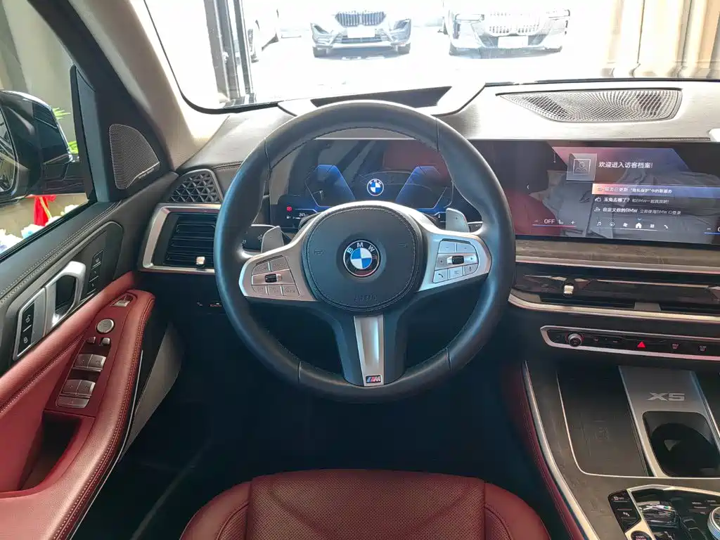 BMW X5 — миниатюра 9