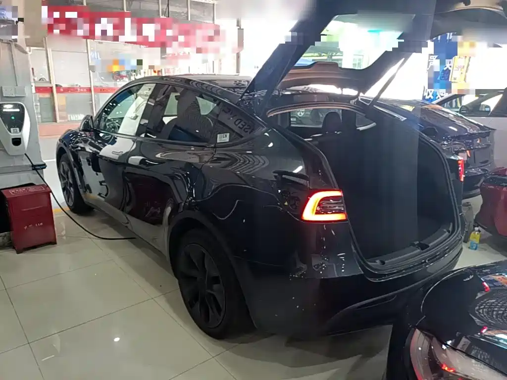 Tesla Model Y — миниатюра 5