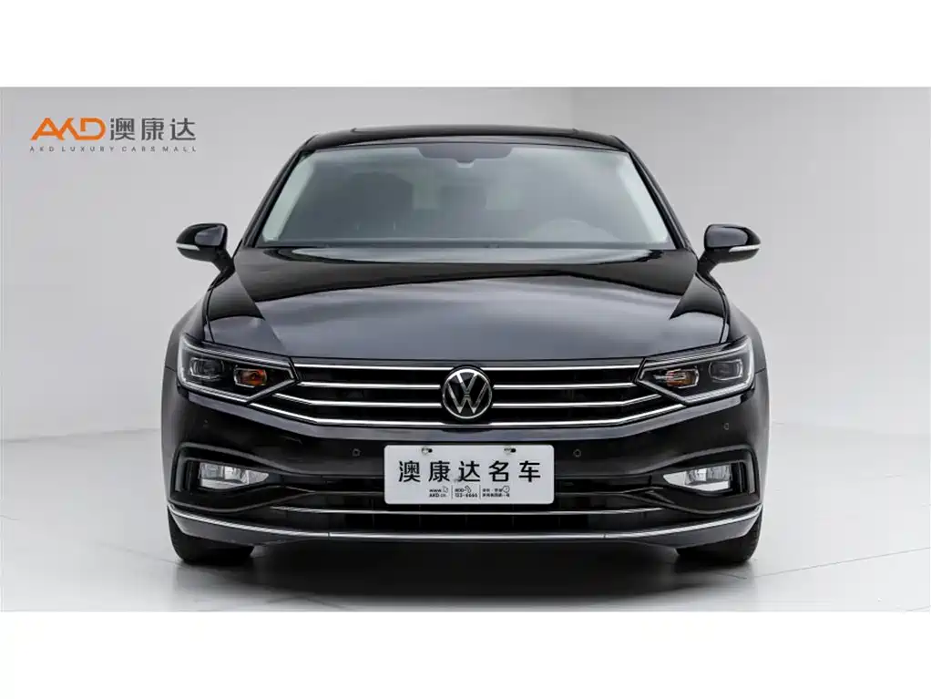 Volkswagen Magotan — миниатюра 2