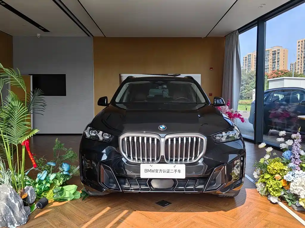 BMW X5 — миниатюра 2