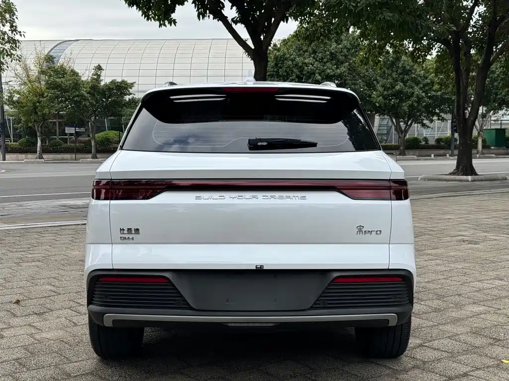 BYD Pro New Energy — миниатюра 5