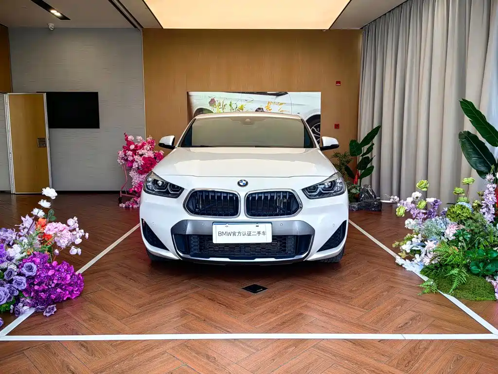 BMW X2 — миниатюра 2