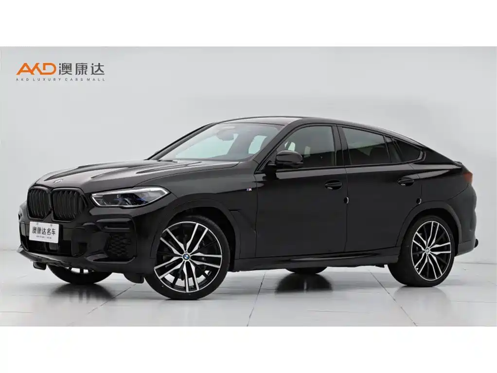 BMW X6 2022