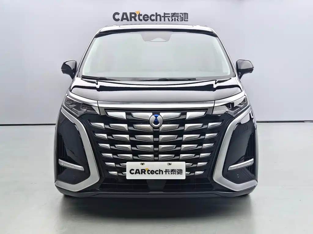 Denza Denza D9 — миниатюра 2