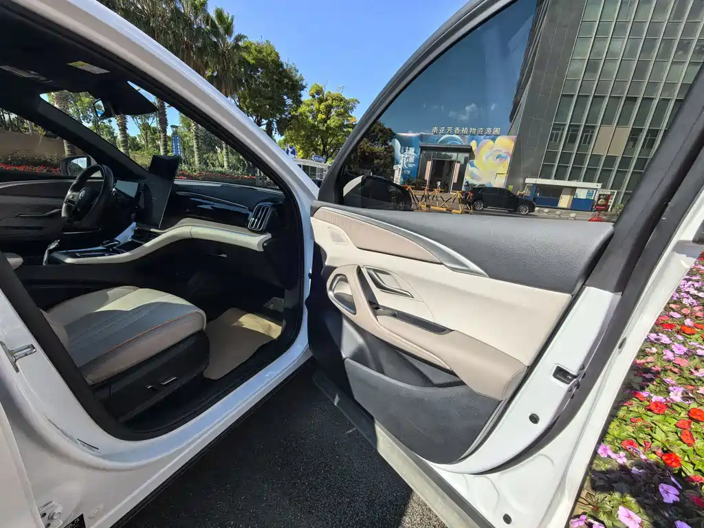 BYD Pro New Energy — миниатюра 17