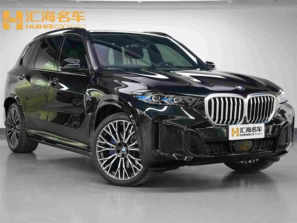 BMW X5 — миниатюра 3