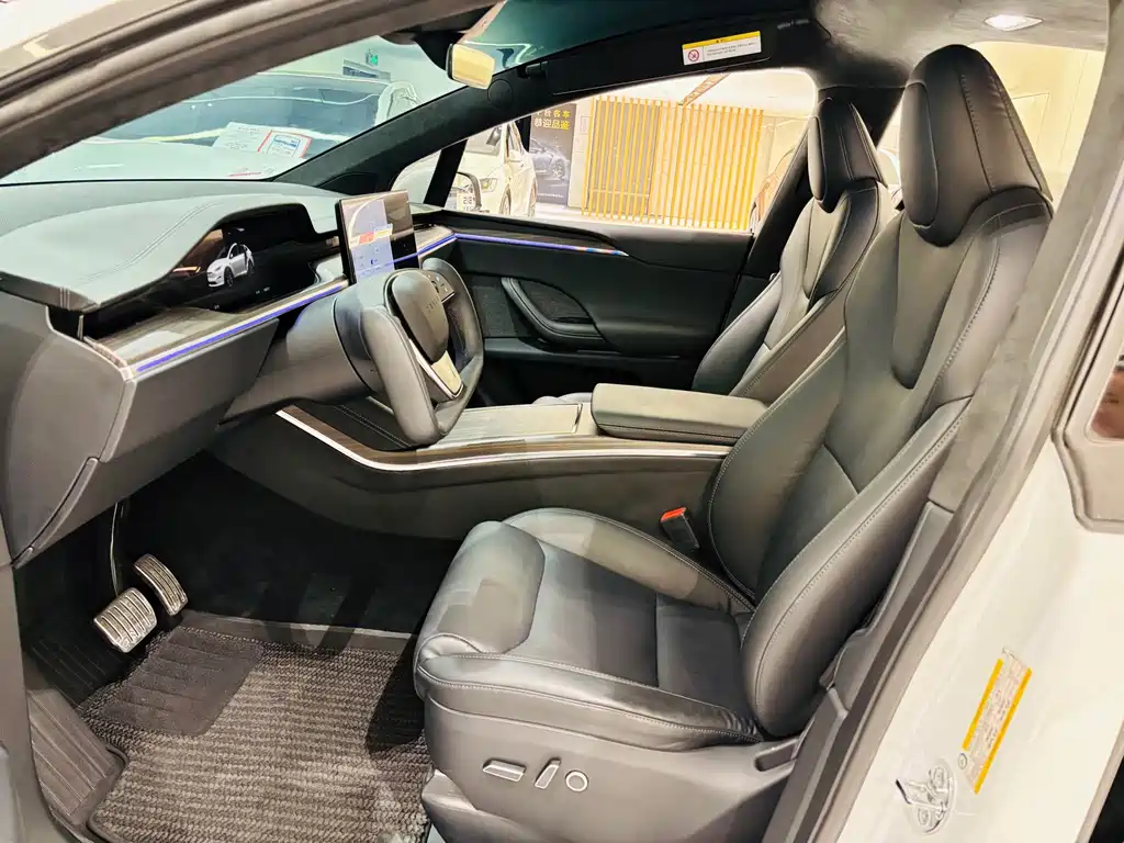 Tesla Model X — миниатюра 28