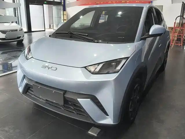2024 BYD Seagull