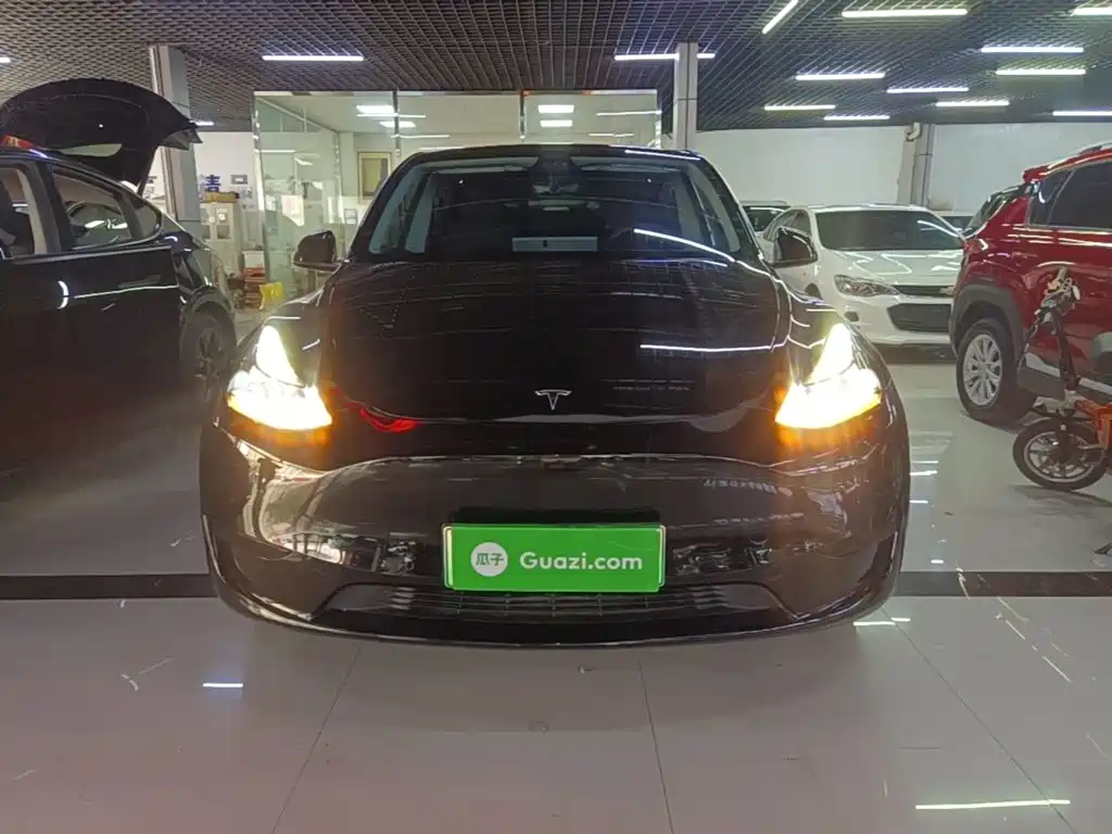 Tesla Model Y — миниатюра 3