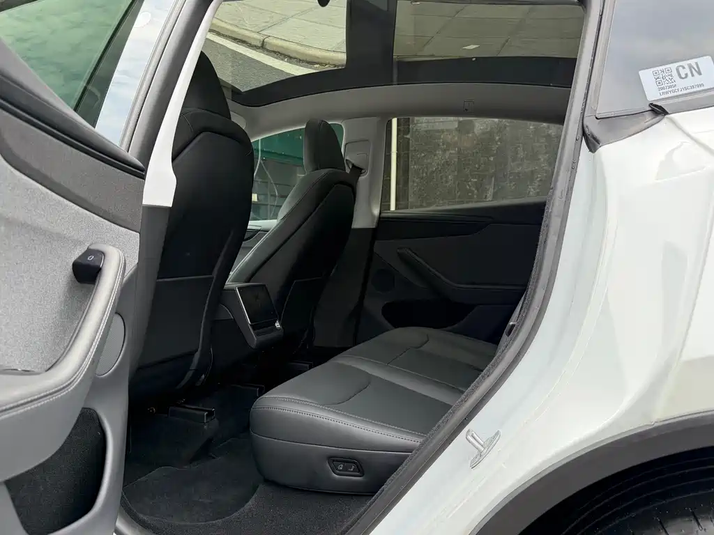 Tesla Model Y — миниатюра 6