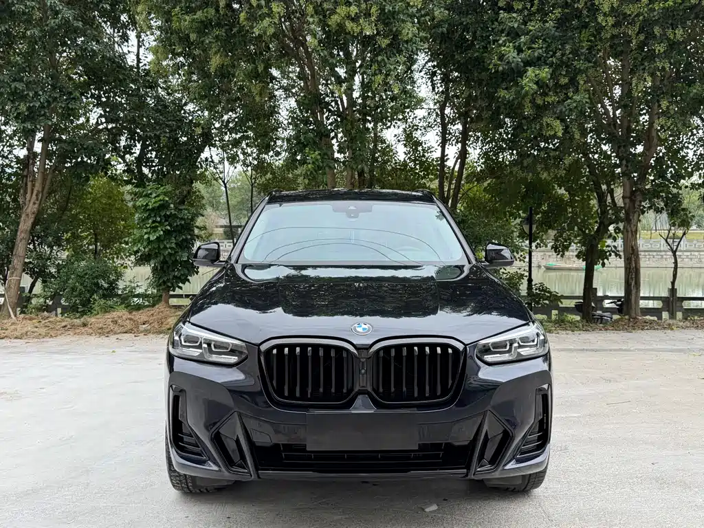 BMW X3 — миниатюра 2