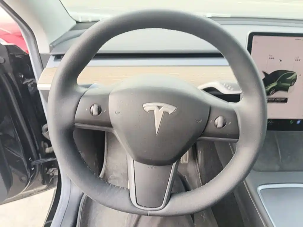 Tesla Model Y — миниатюра 11