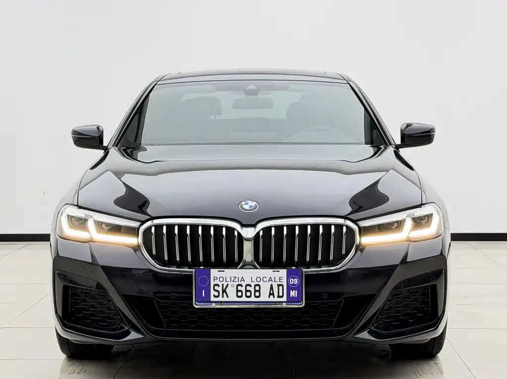 BMW 5 Series — миниатюра 2