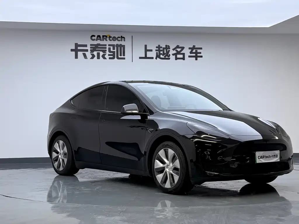 Tesla Model Y — миниатюра 8