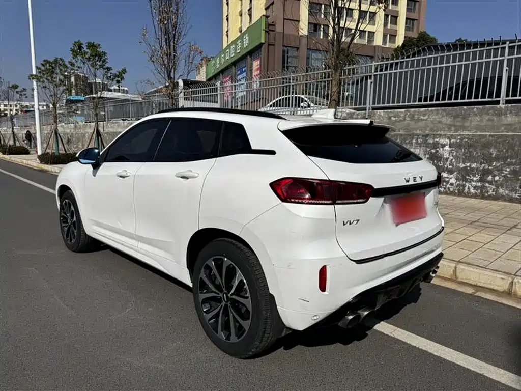 WEI PAI WEI BRAND VV7