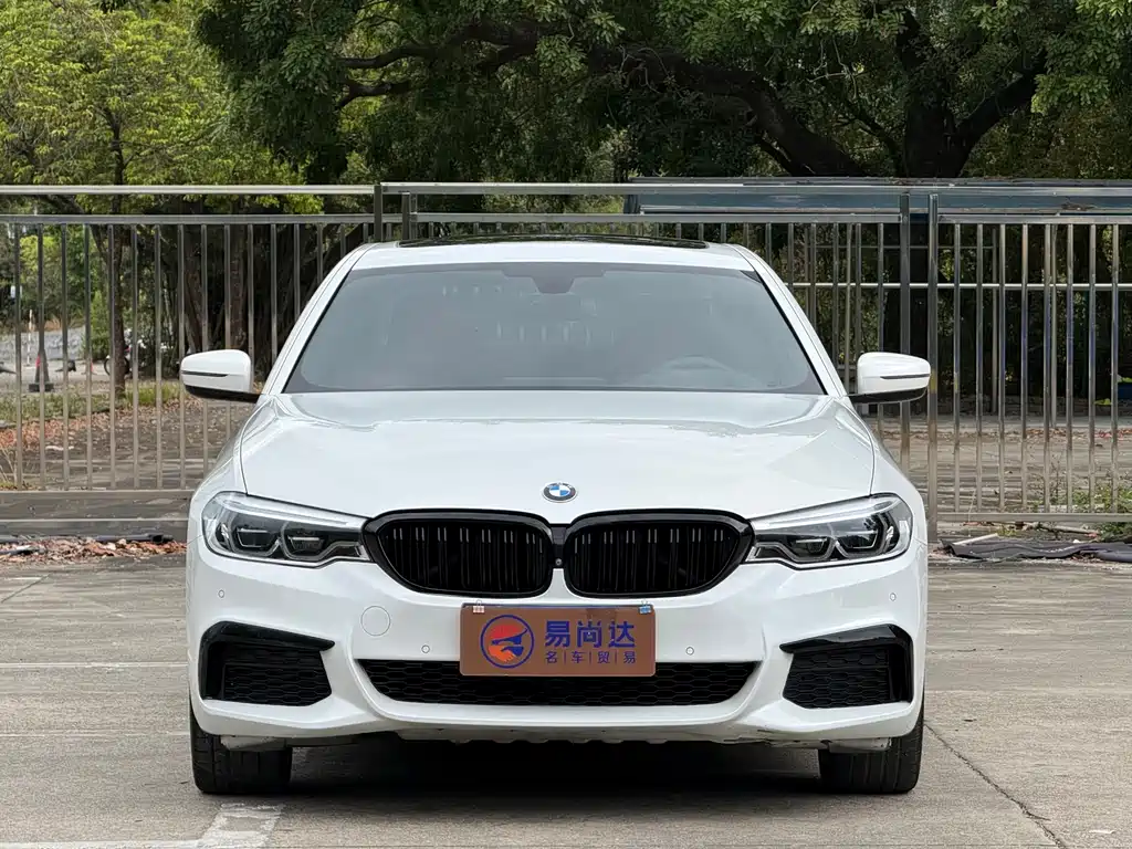 BMW 5 Series 2020