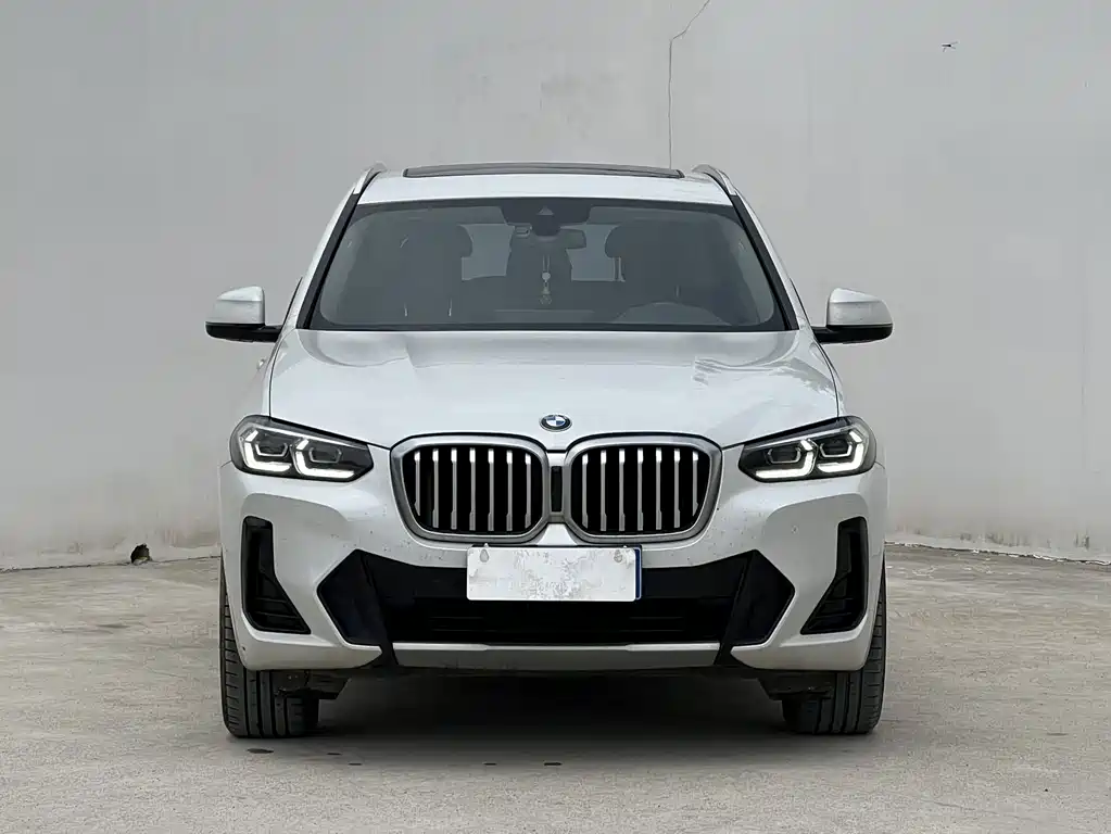 BMW X3 — миниатюра 2