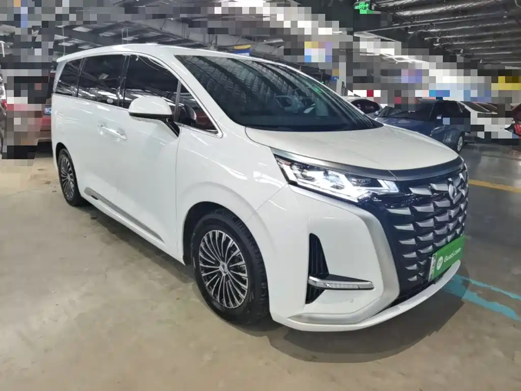 Denza Denza D9 — миниатюра 4