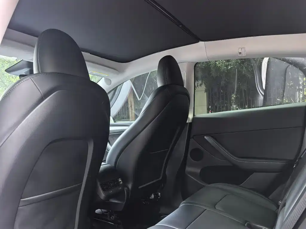 Tesla Model Y — миниатюра 6