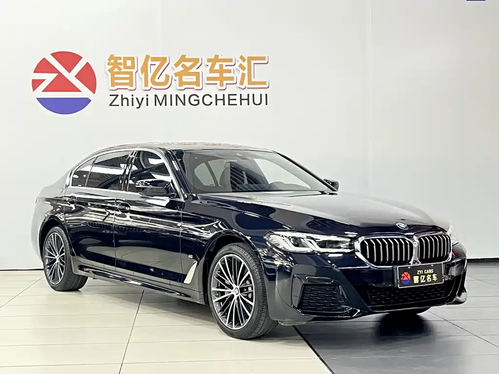 BMW 5 Series — миниатюра 3