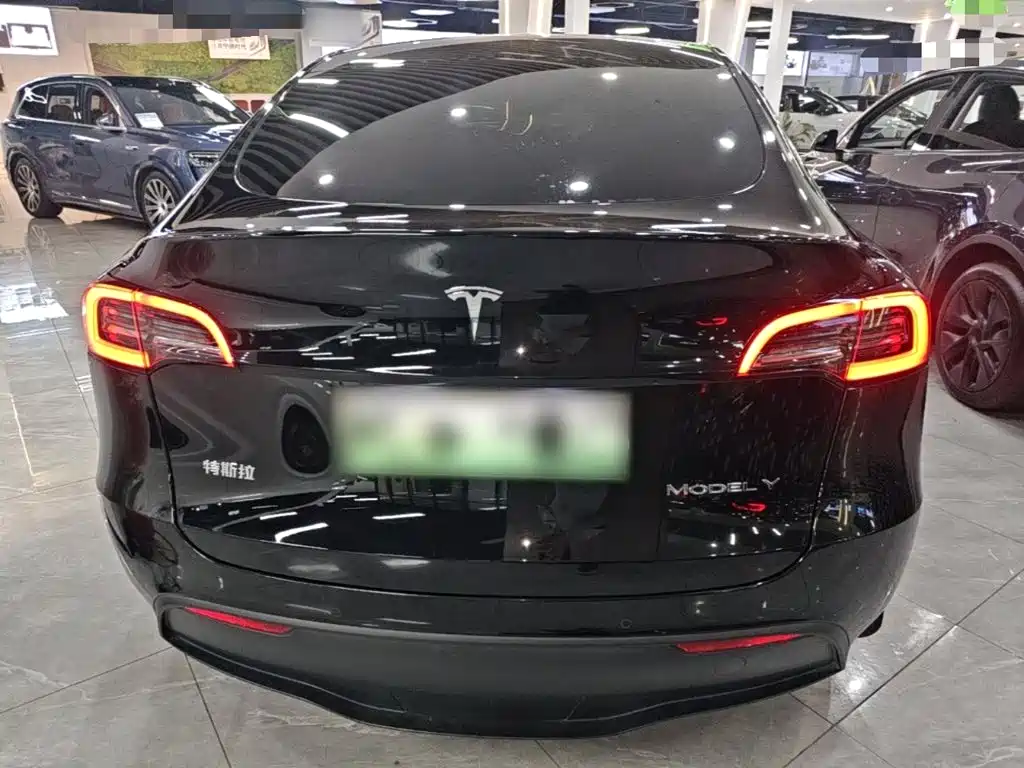 Tesla Model Y — миниатюра 6