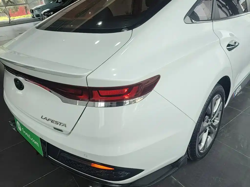 Hyundai Fista — миниатюра 8