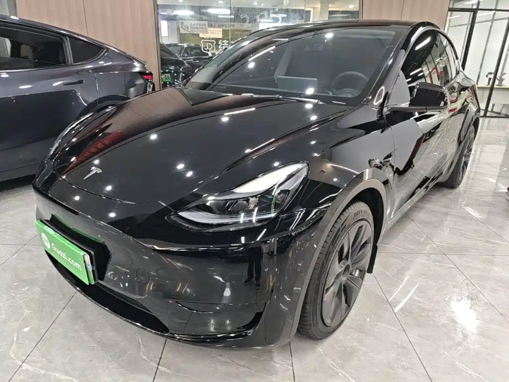 Tesla Model Y — миниатюра 2