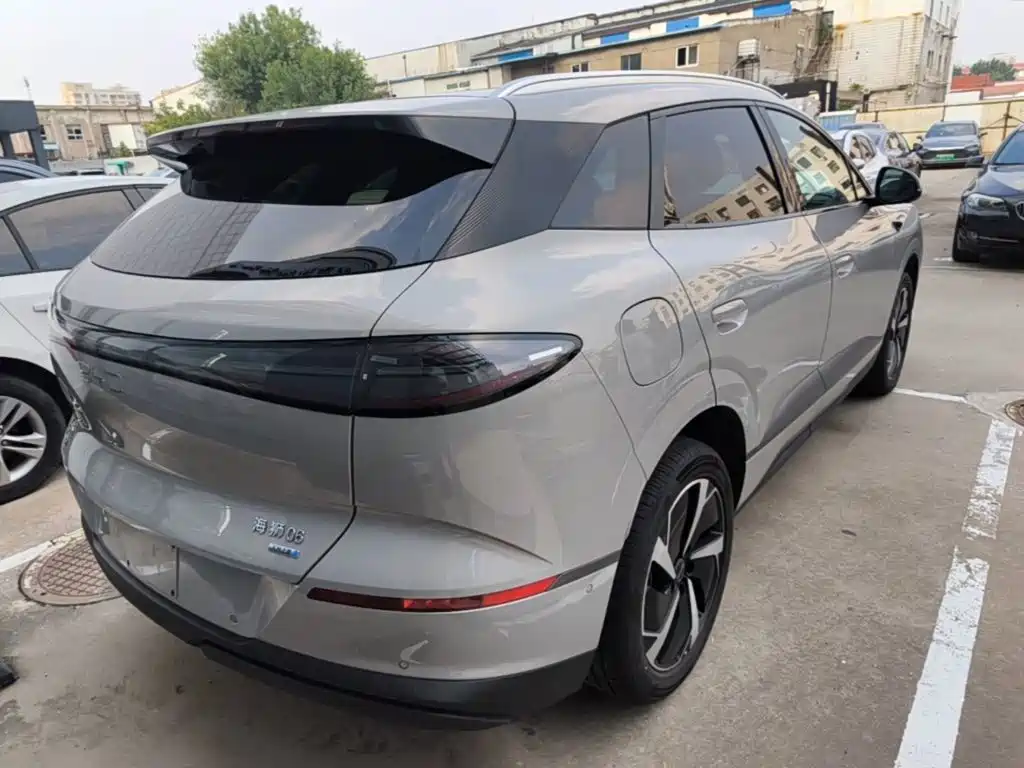 BYD Sealion 06 — миниатюра 7
