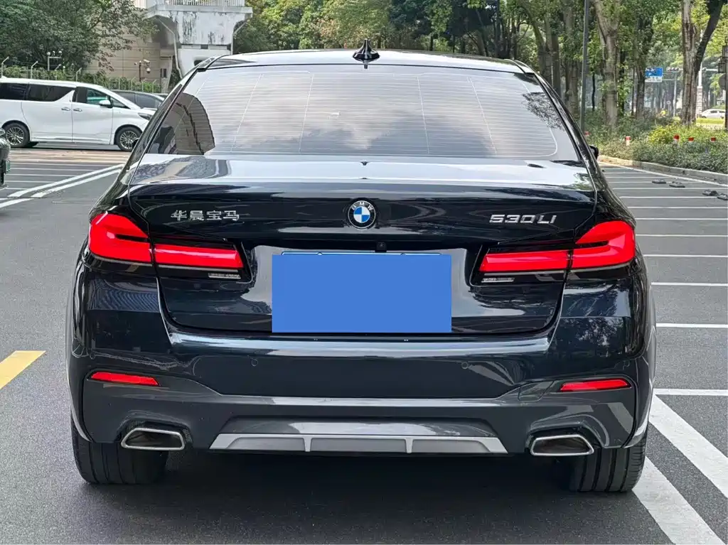 BMW 5 Series — миниатюра 4
